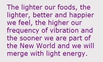New World Energy and Food