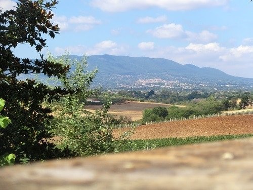 Southern Italian Landscape