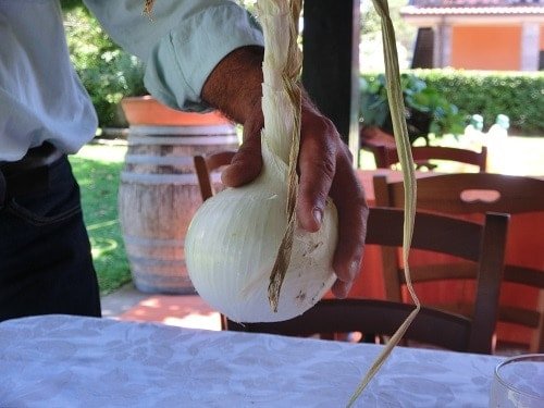 Onions in Southern Italy
