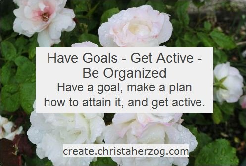 Have goals and be organized