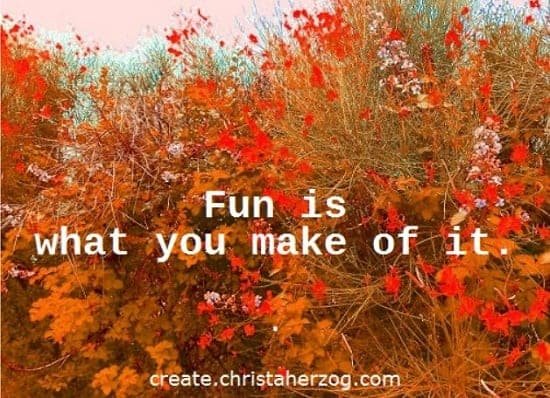 Fun is what you make of it