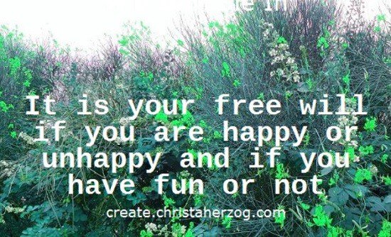 Fun or not is your choice