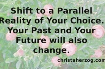 Shift to a Parallel Reality Your Life Will Change
